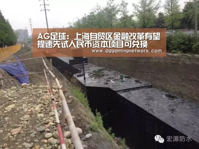 AG足球:上海自贸区金融改革有望提速先试人民币资本项目可兑换(图2) AG电竞