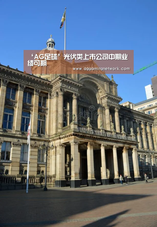 ‘AG足球’光伏类上市公司中期业绩可期(图2) AG视讯