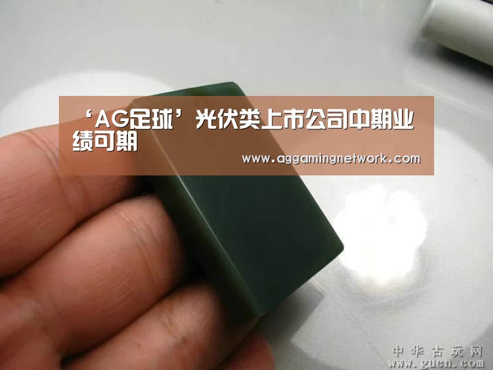 ‘AG足球’光伏类上市公司中期业绩可期(图3) AG官网
