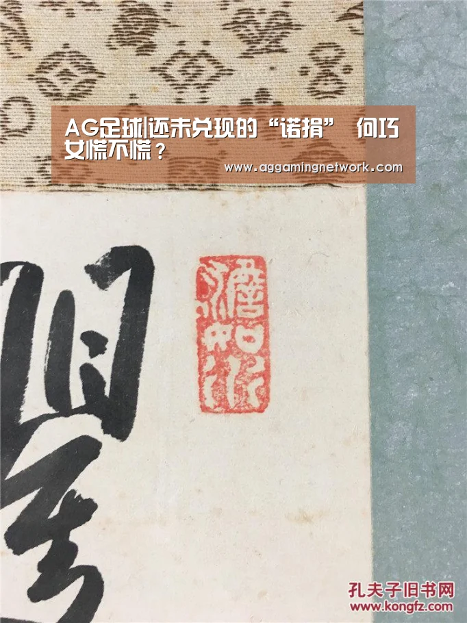 AG足球|还未兑现的“诺捐” 何巧女慌不慌?(图4) AG电竞