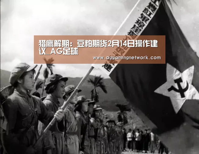AG视讯